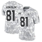 A.Cardinals #81 Travis Vokolek Player Camo Salute to Service Limited Stitched Football Jerseys